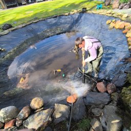 Oleksandra Hoiarchuk Złote Drzewo - Roboty ziemne Gr&oacute;jec