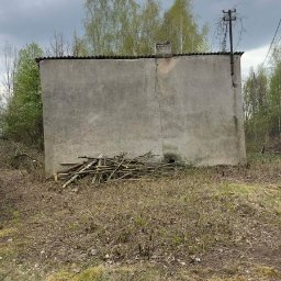 Oleksandra Hoiarchuk Złote Drzewo - Malowanie dach&oacute;w Gr&oacute;jec