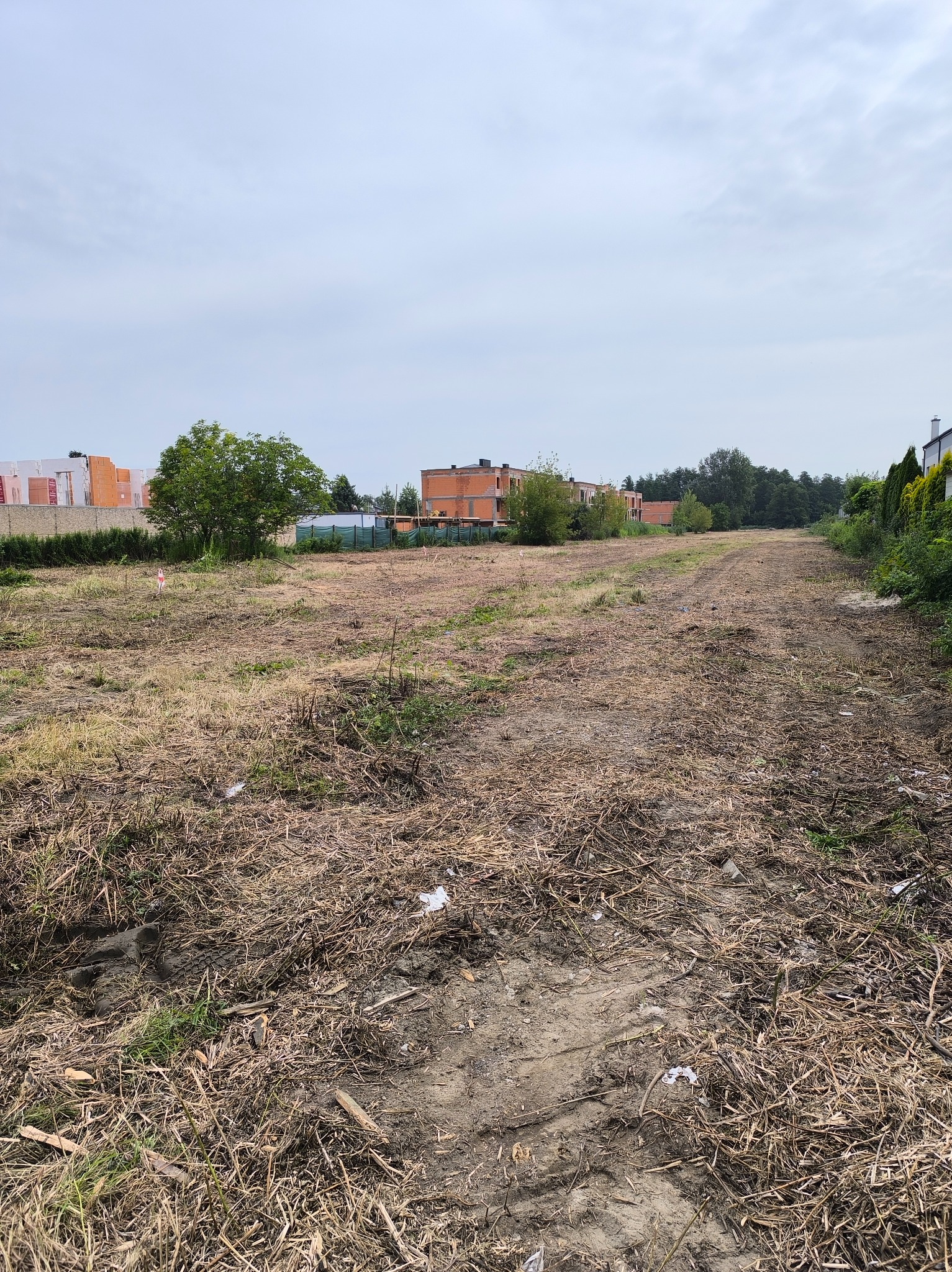 Wykarczowany teren pod budowę z widocznymi śladami opon, resztkami roślinności i budynkami w tle, sfotografowany w pochmurny dzień.
