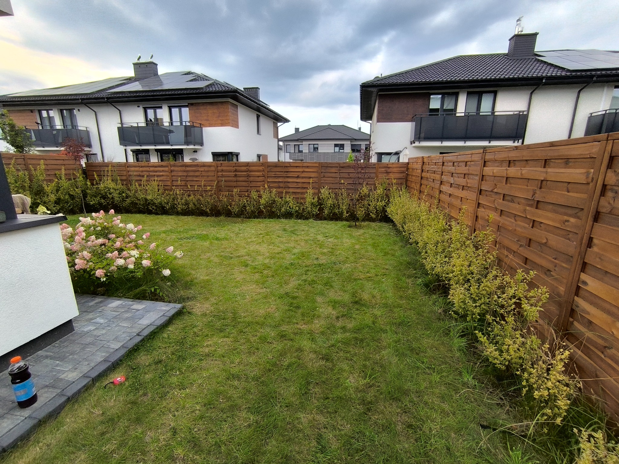 Zadbany trawnik w ogrodzie z drewnianym ogrodzeniem, ozdobnymi krzewami i kostką brukową. W tle widoczne nowoczesne domy z panelami słonecznymi. Pochmurne niebo.