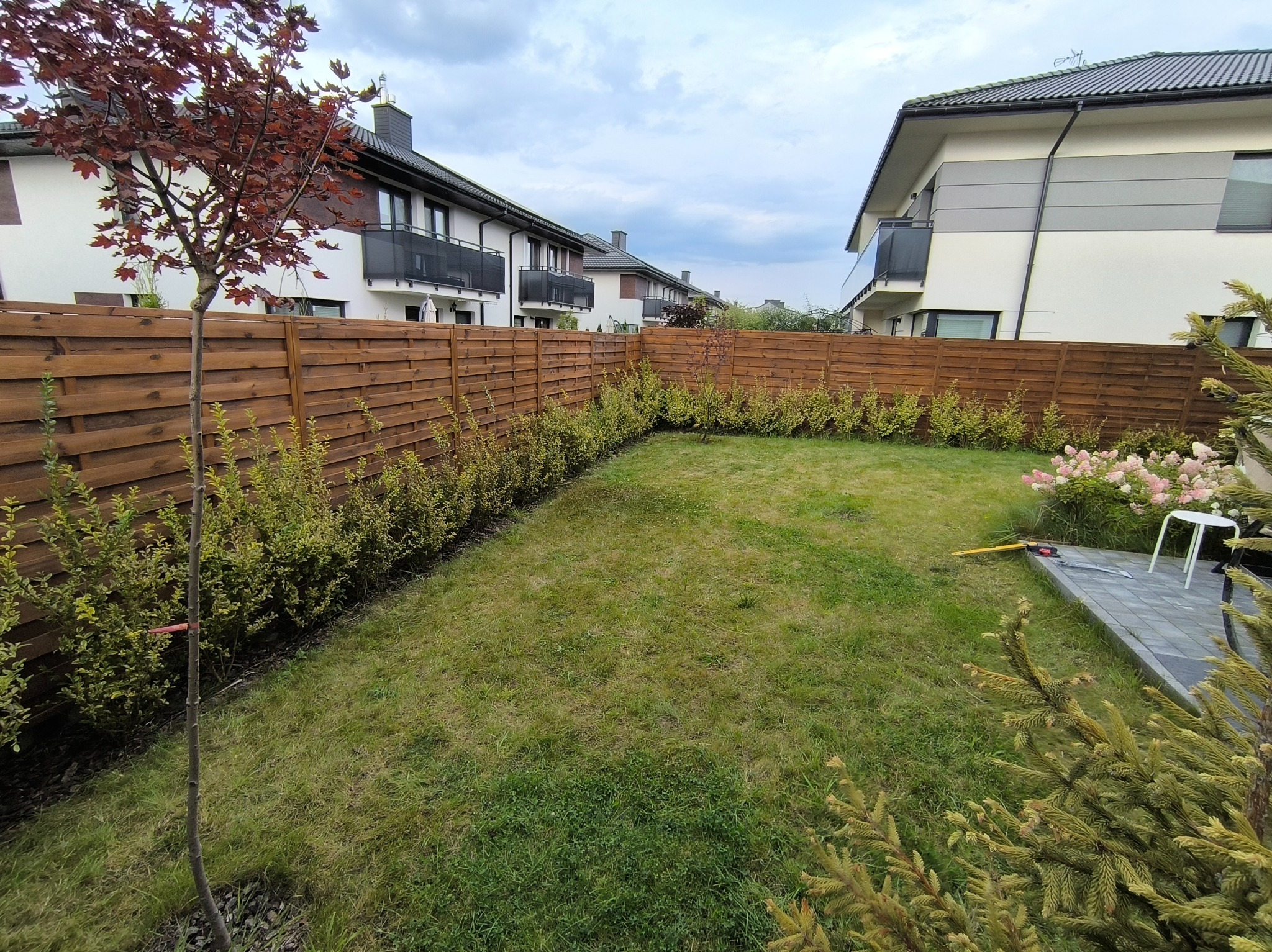Zadbany ogród z drewnianym ogrodzeniem panelowym, niskimi krzewami wzdłuż ogrodzenia, trawnikiem i młodym drzewem z czerwonymi liśćmi. W tle domy jednorodzinne.