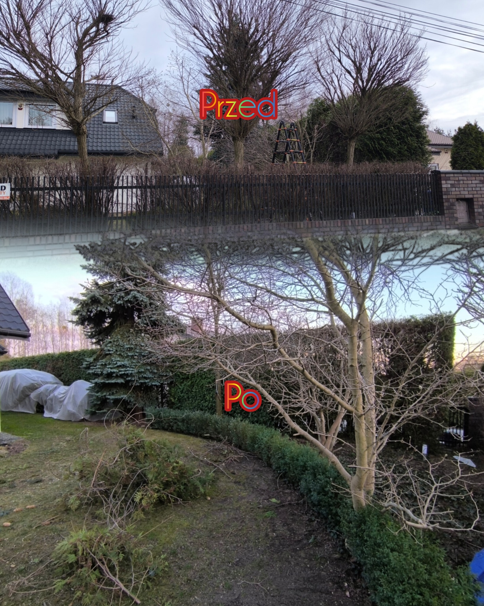 Pielęgnacja ogrodu, formowania tuje/drzew