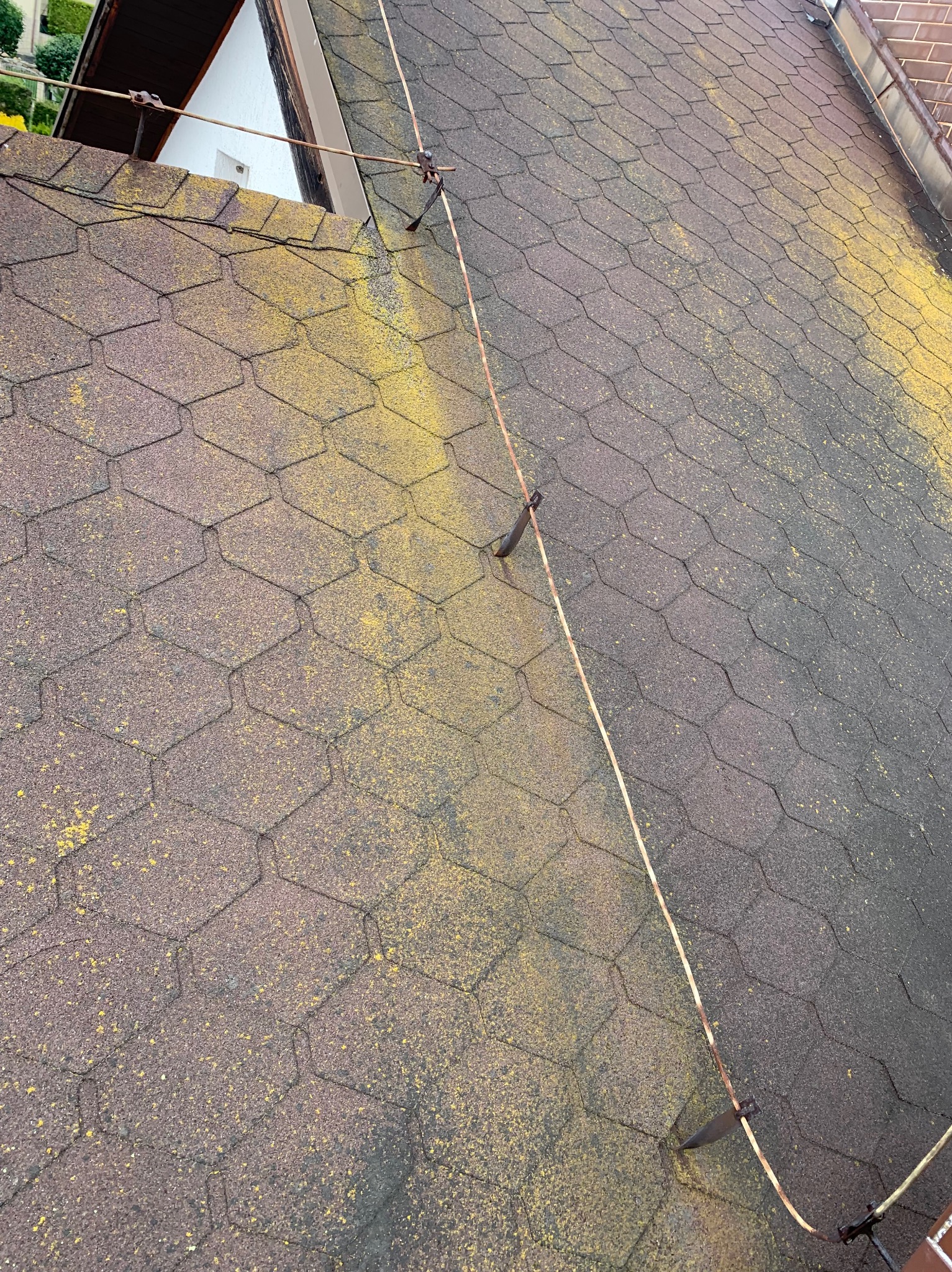 Brązowy dach pokryty bitumiczną dachówką z wyraźnym żółtym nalotem mchu po lewej stronie i systemem odgromowym biegnącym wzdłuż krawędzi.