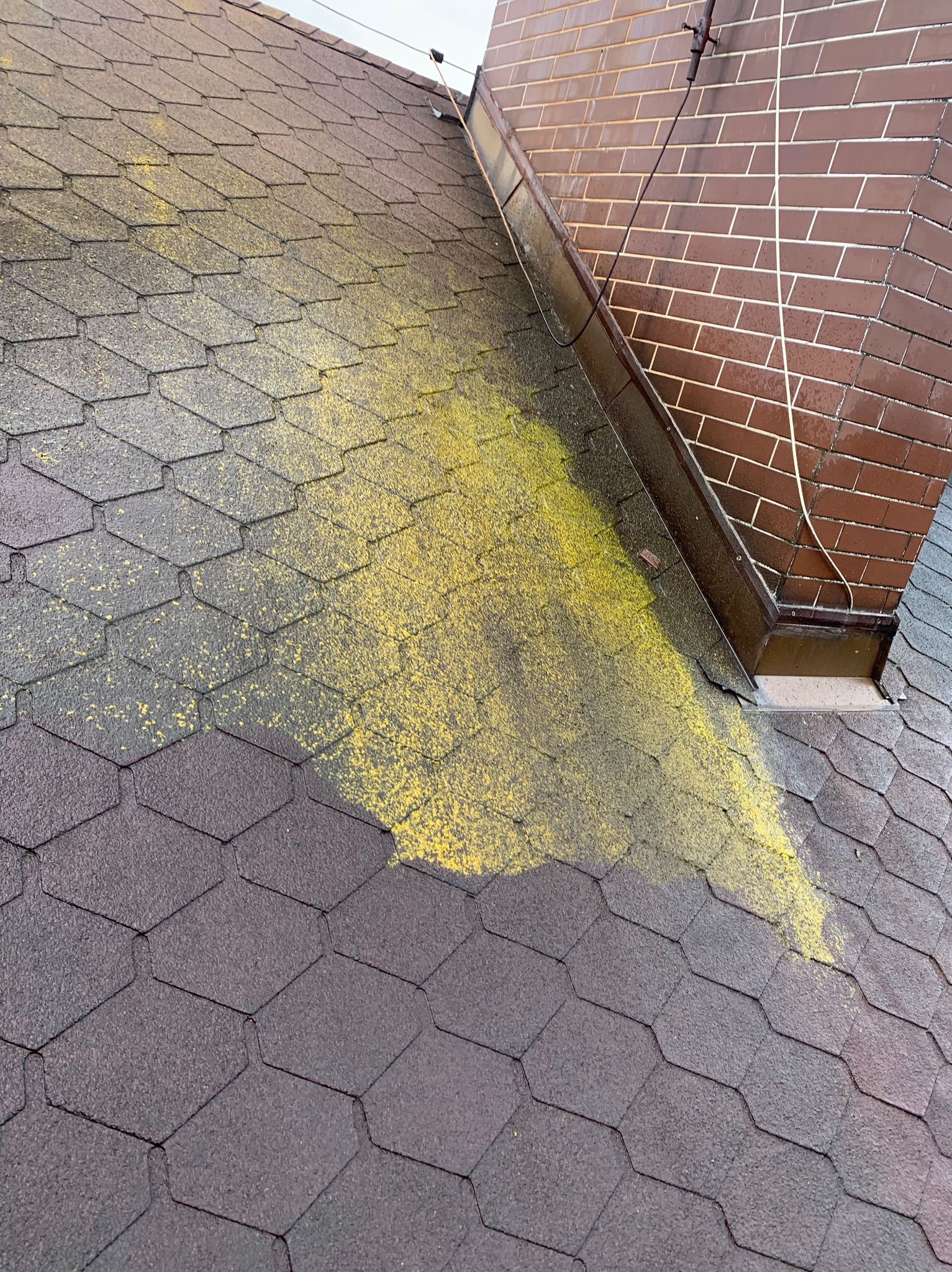 Dach pokryty bitumiczną dachówką, częściowo porośnięty mchem, z widocznym kominem z cegły i rynną.