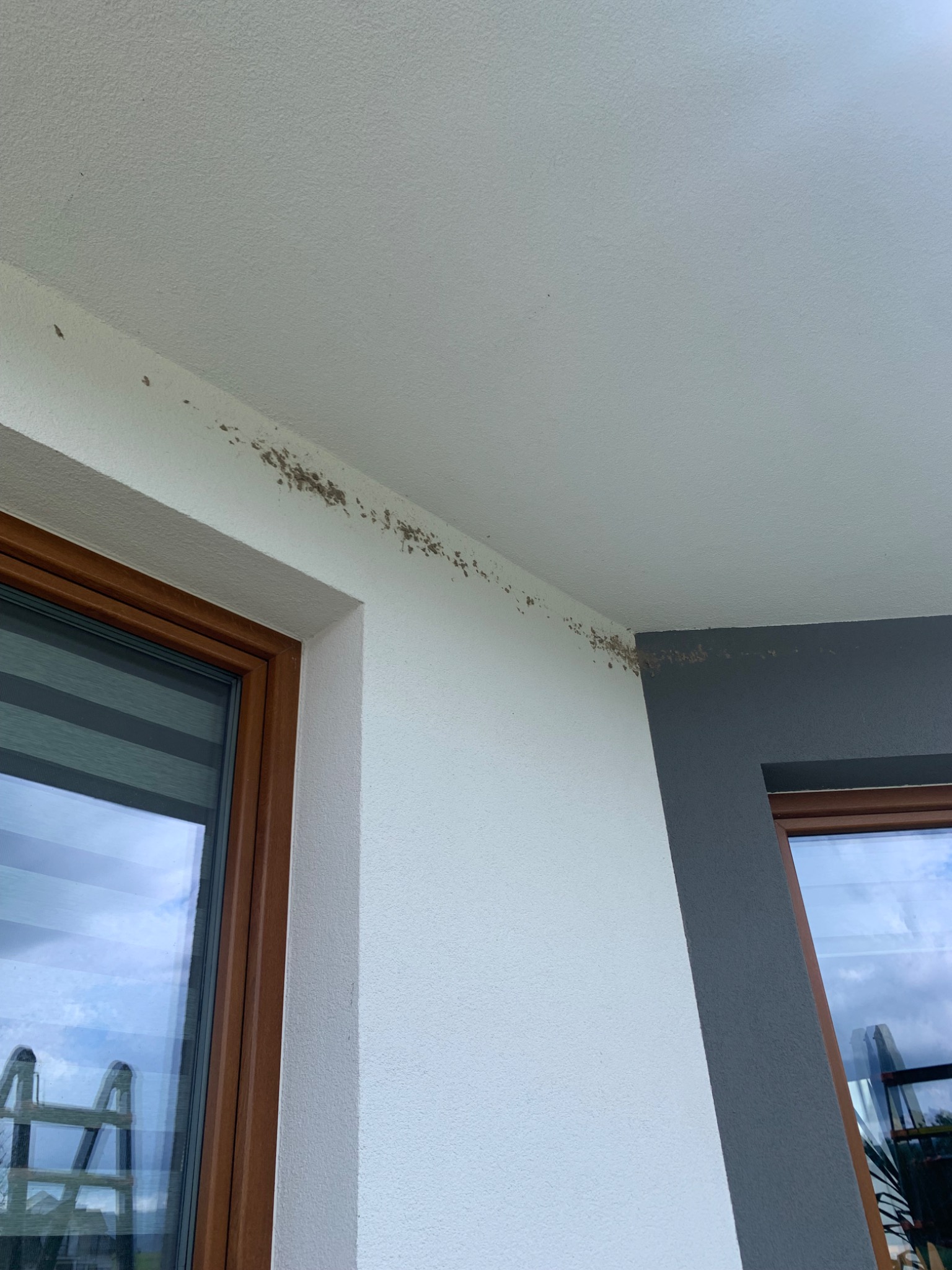 Fragment elewacji z widocznymi zabrudzeniami i zaciekami wzdłuż krawędzi, sąsiadujący z oknem z brązową ramą i odbiciem drabiny w szybie.