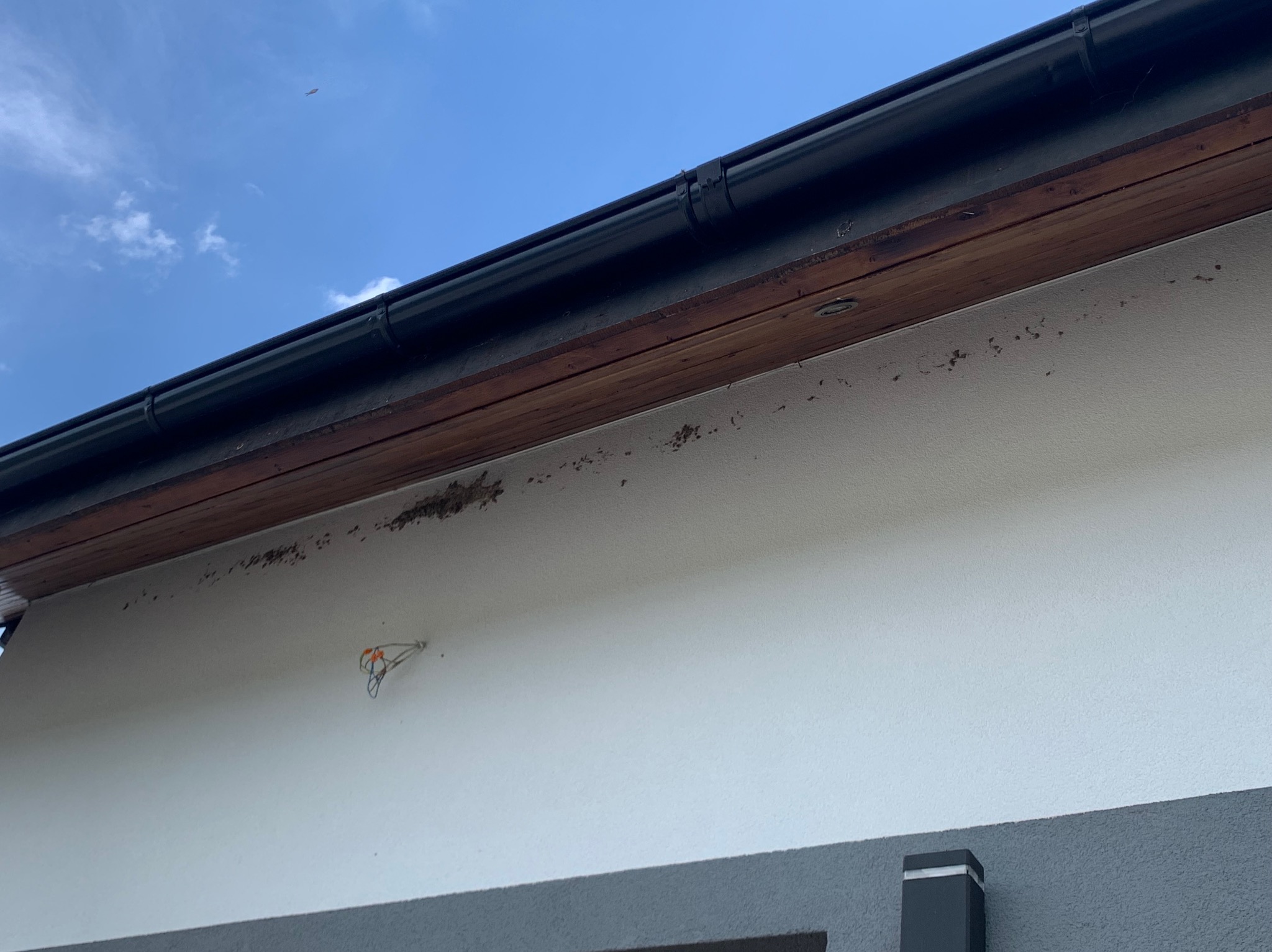 Fragment elewacji z widocznymi zabrudzeniami pod okapem oraz czarną rynną na tle błękitnego nieba.