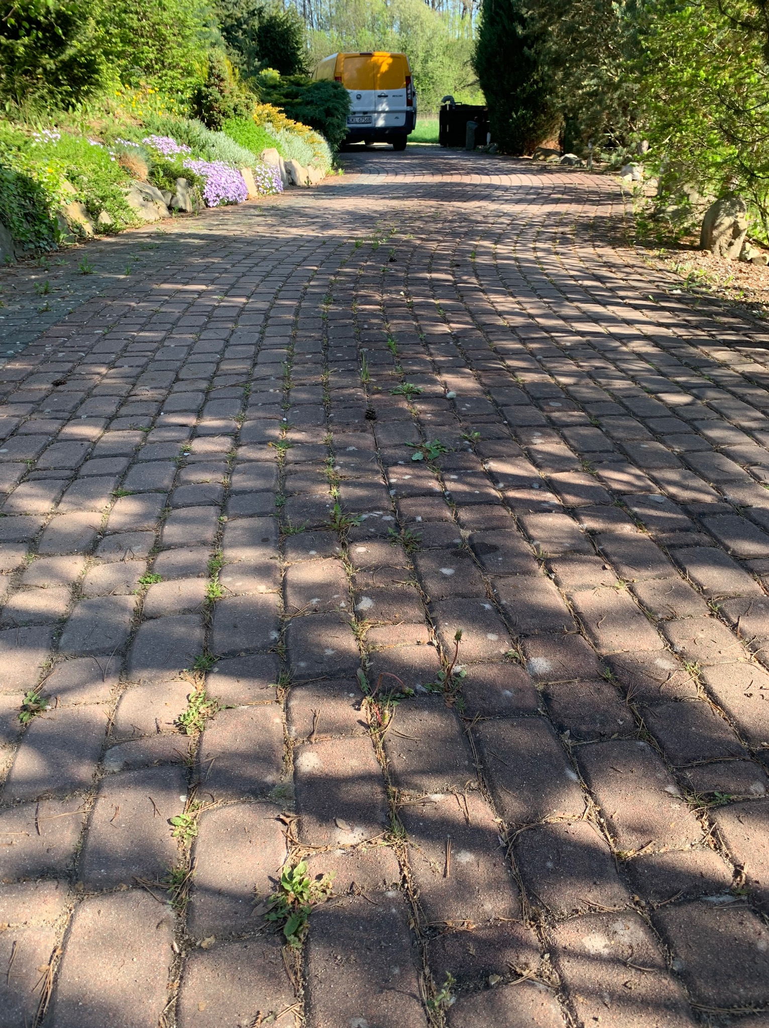Ciemnobrązowa kostka brukowa z chwastami w szczelinach, prowadząca do zaparkowanego białego busa w otoczeniu zieleni i kwiatów.