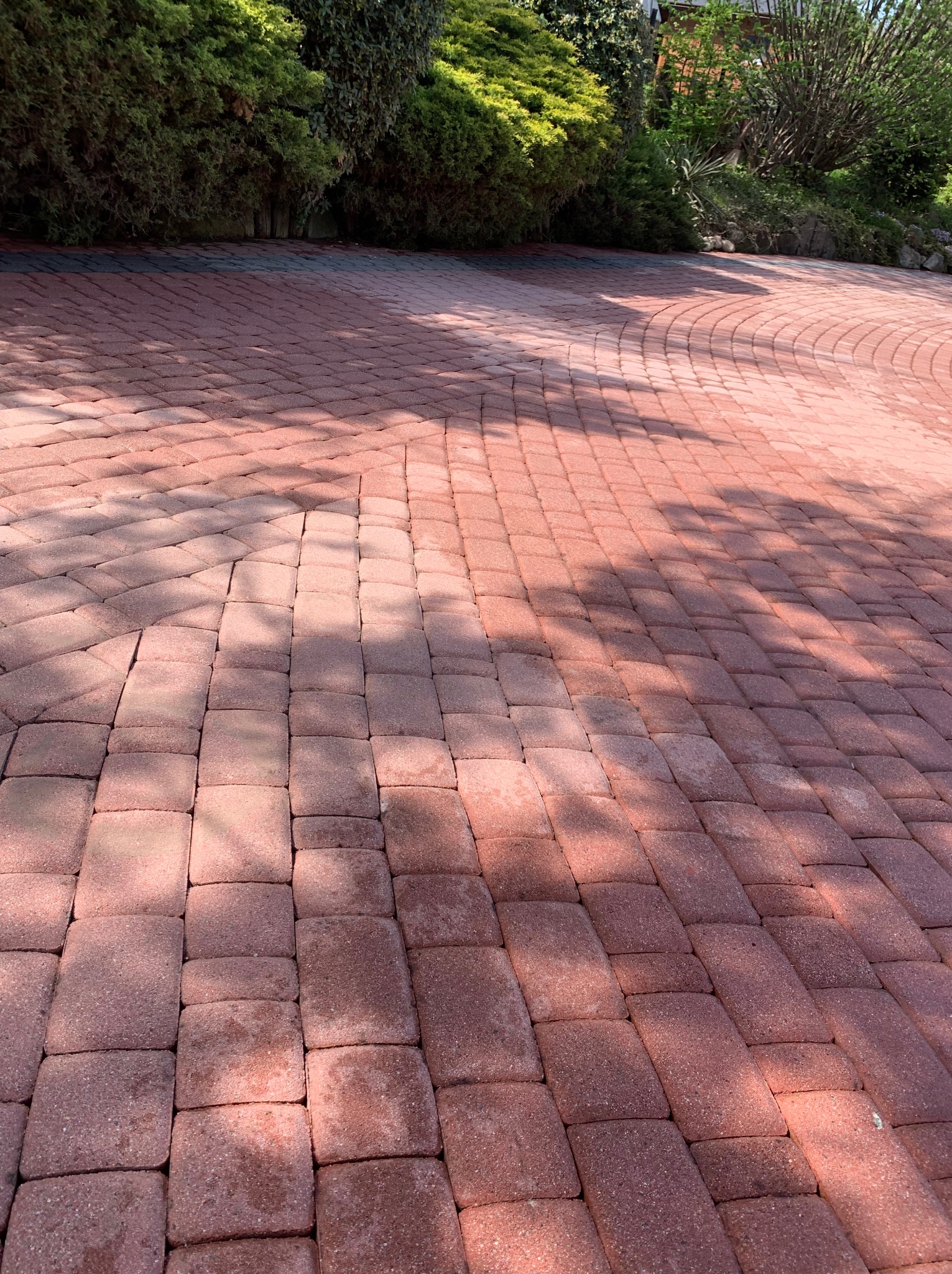 Czerwona kostka brukowa ułożona w łukowaty wzór, częściowo zacieniona, z zielenią w tle. Widok na podjazd lub ścieżkę ogrodową.