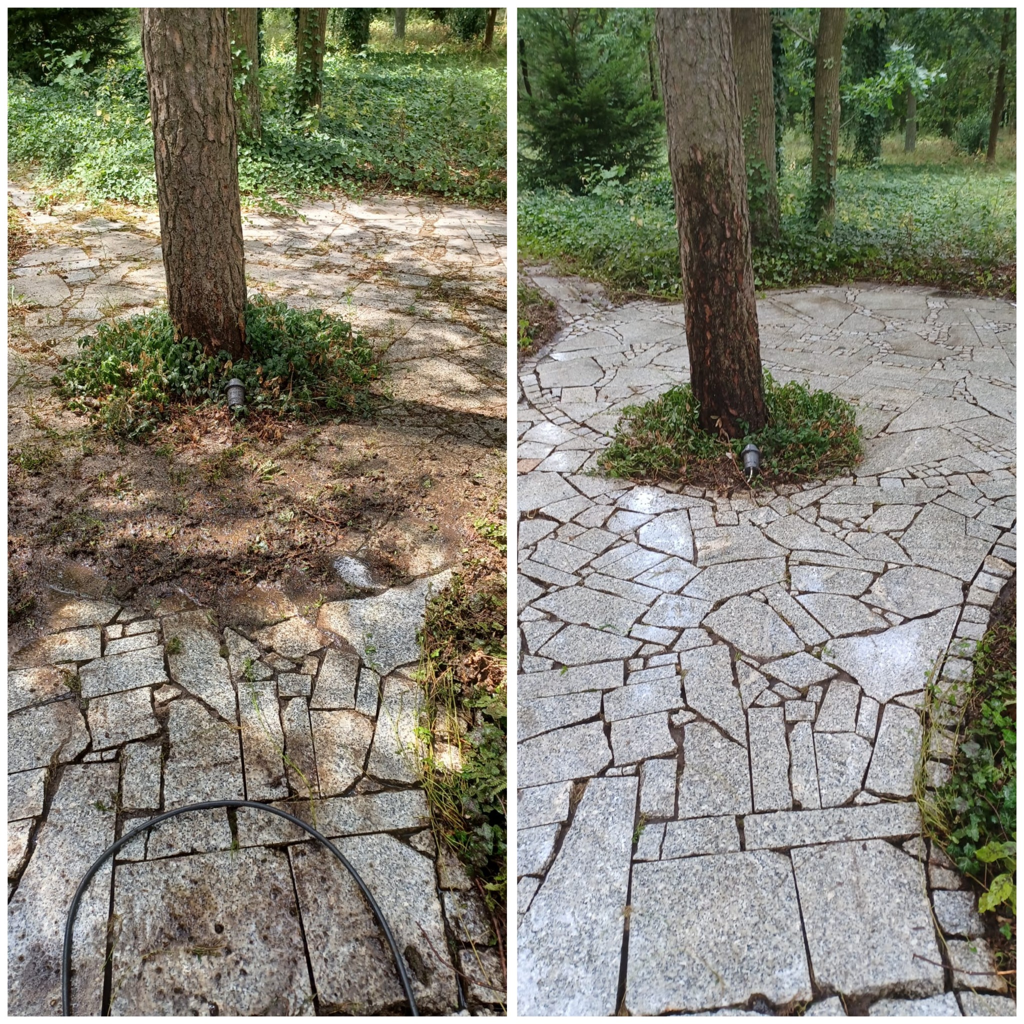 Porównanie stanu kostki brukowej przed i po czyszczeniu, widoczne różnice w kolorze i usunięte zabrudzenia wokół drzewa.