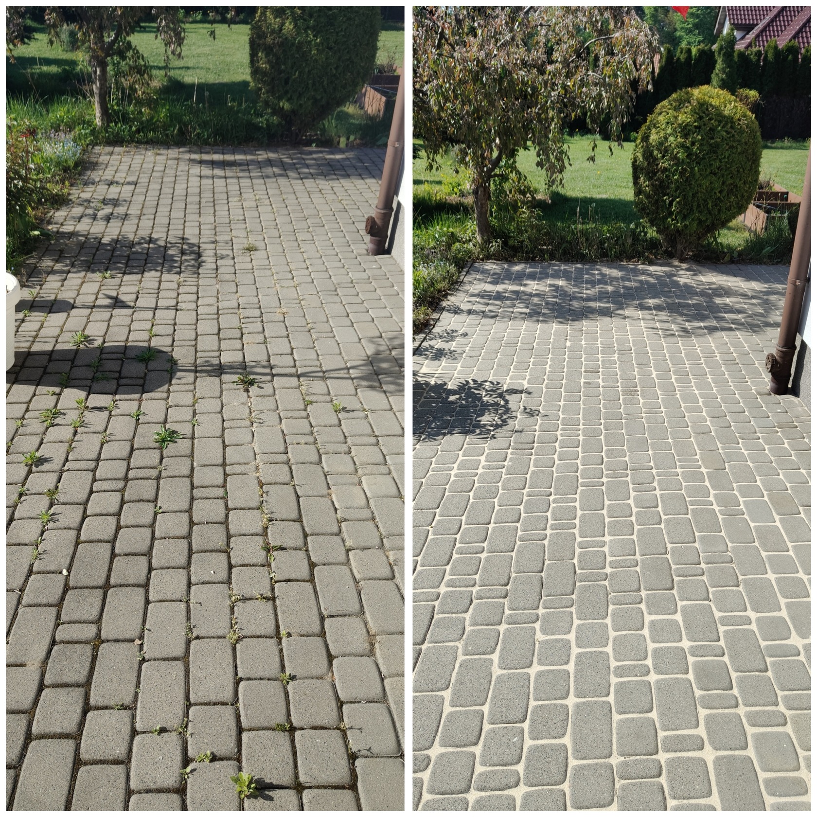 Zdjęcie kostki brukowej przed i po czyszczeniu, z widoczną różnicą w usunięciu zabrudzeń i chwastów, na tle zieleni ogrodu.
