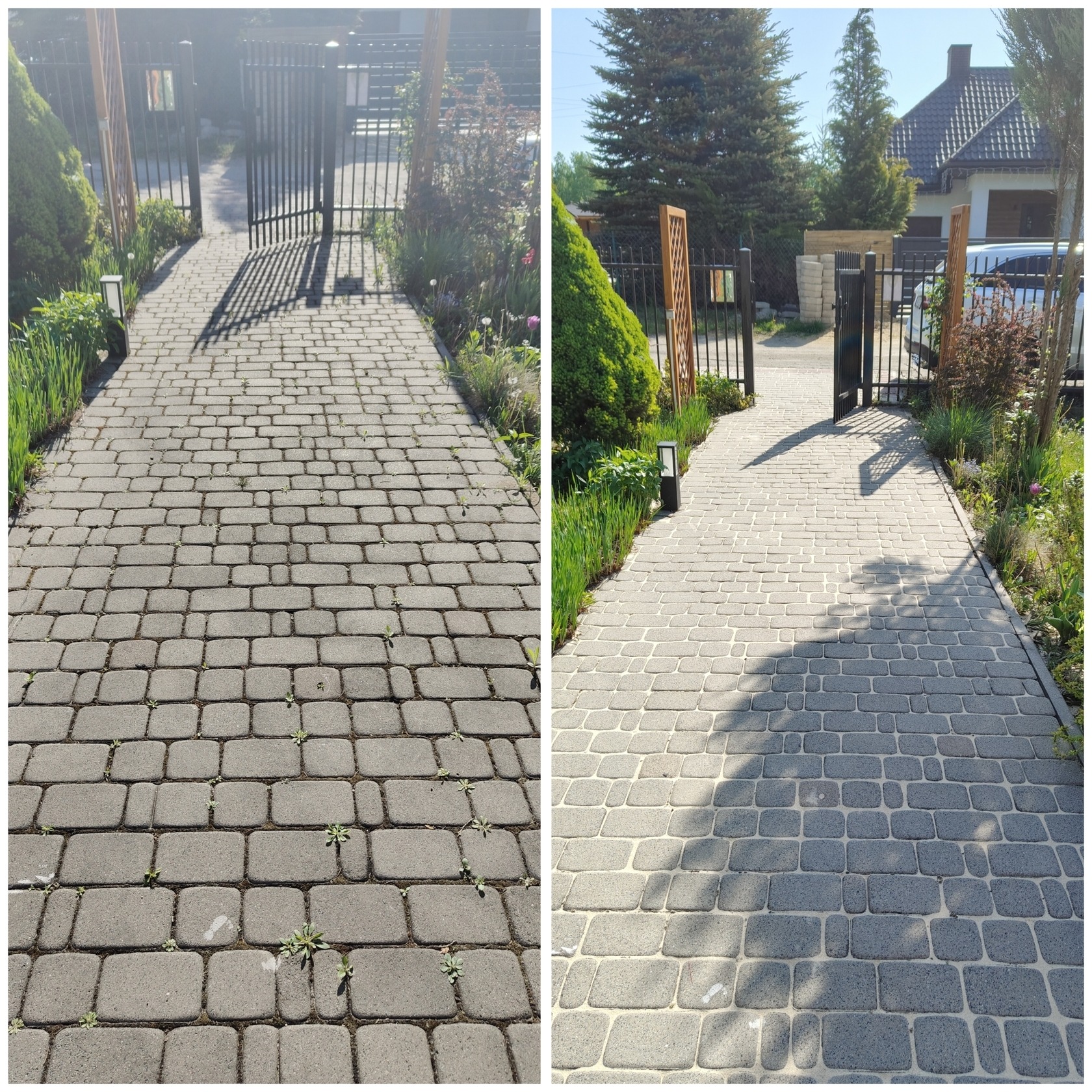 Zdjęcie przed i po czyszczeniu kostki brukowej na posesji. Po lewej kostka zaniedbana, po prawej wyczyszczona, z bramą w tle i zielenią po bokach.
