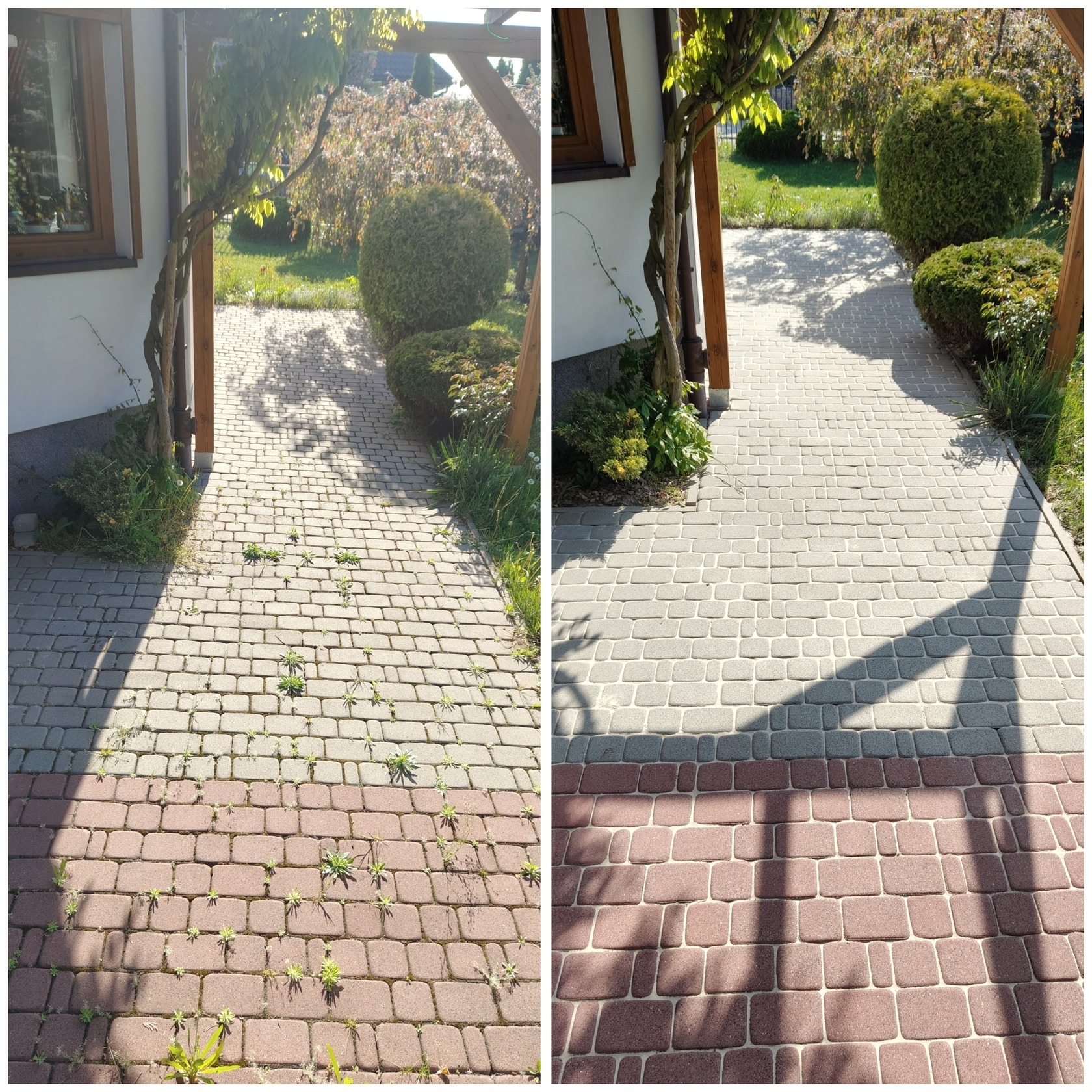 Zdjęcie 'przed i po' czyszczenia kostki brukowej na zewnątrz domu. Po lewej kostka zabrudzona, z chwastami, po prawej czysta, bez zabrudzeń i roślinności.