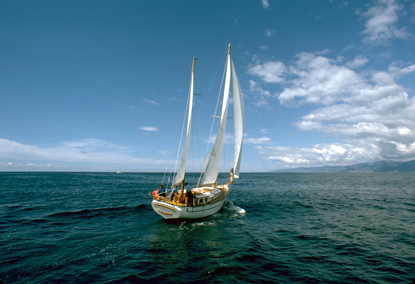 Pomogę w sprzedaży/kupnie samochodów ....