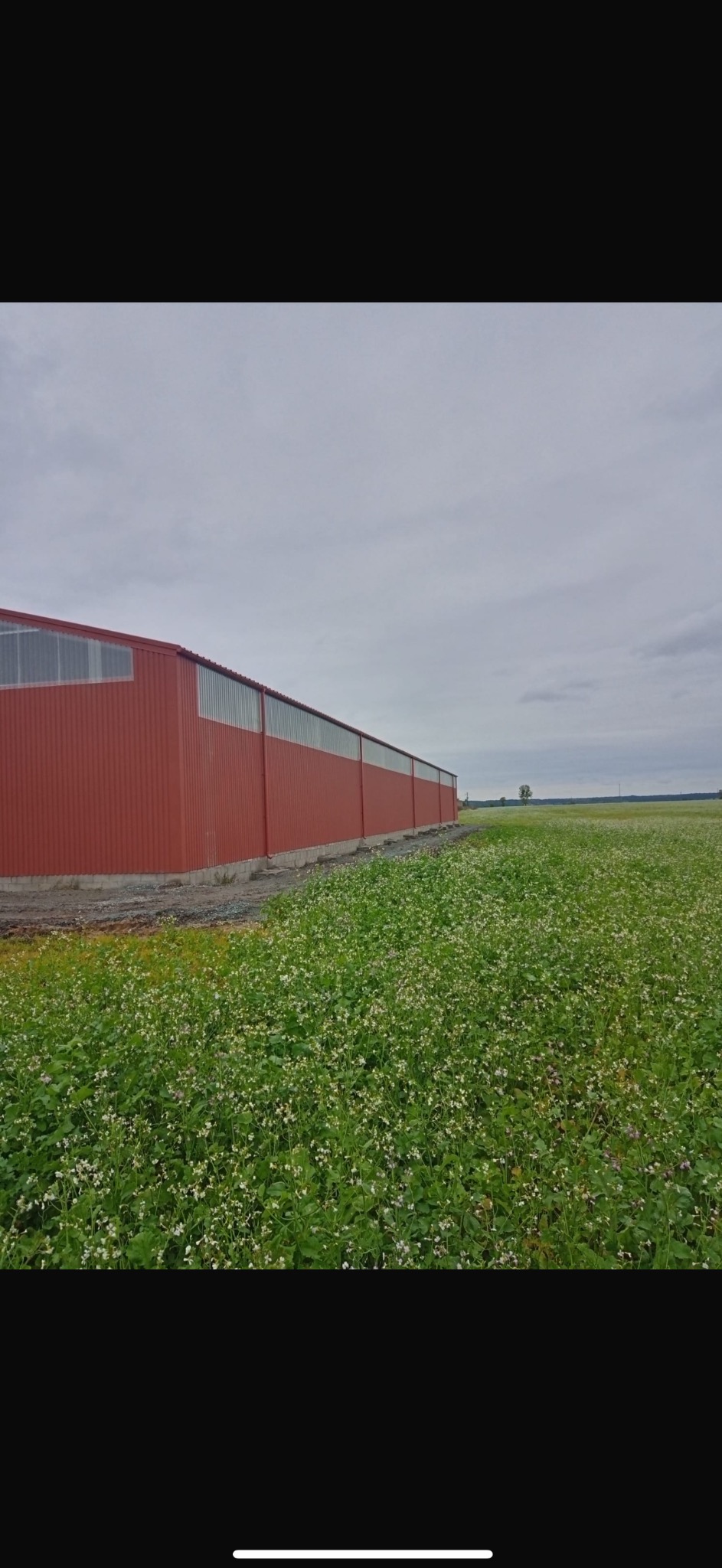 Czerwona hala przemysłowa z płyt warstwowych, widoczna z zewnątrz, otoczona polem kwitnącej roślinności pod pochmurnym niebem.
