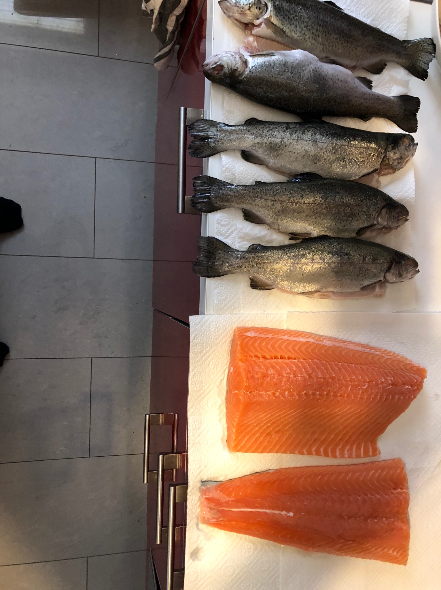 Przygotowane do obróbki całe pstrągi i filety z łososia, ułożone na papierowych ręcznikach na blacie kuchennym z szarymi płytkami.