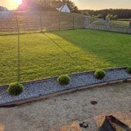 ERLLA ERNEST ŁADOCHA HANDEL I USŁUGI - Widok z góry na świeżo założony trawnik z rolki, obrzeża z kamyków i kuliste krzewy, w tle ogrodzenie panelowe i dom na wzgórzu, oświetlone popołudniowym słońcem.