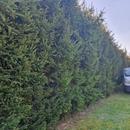 ERLLA ERNEST ŁADOCHA HANDEL I USŁUGI - Gęsty żywopłot z iglaków, przylegający do srebrnego samochodu dostawczego na trawniku, w tle dom z czerwoną dachówką i rusztowanie.