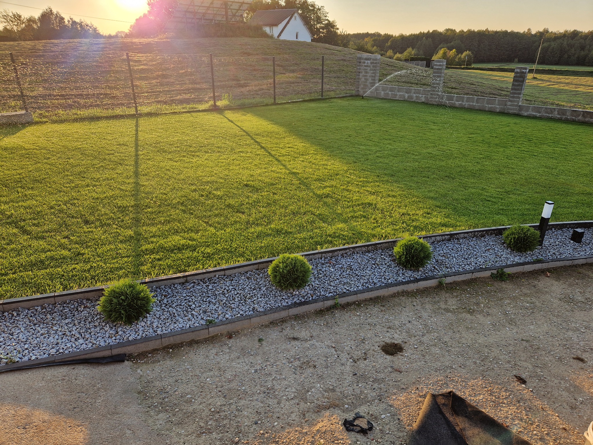 Widok z góry na świeżo założony trawnik z rolki, obrzeża z kamyków i kuliste krzewy, w tle ogrodzenie panelowe i dom na wzgórzu, oświetlone popołudniowym słońcem.