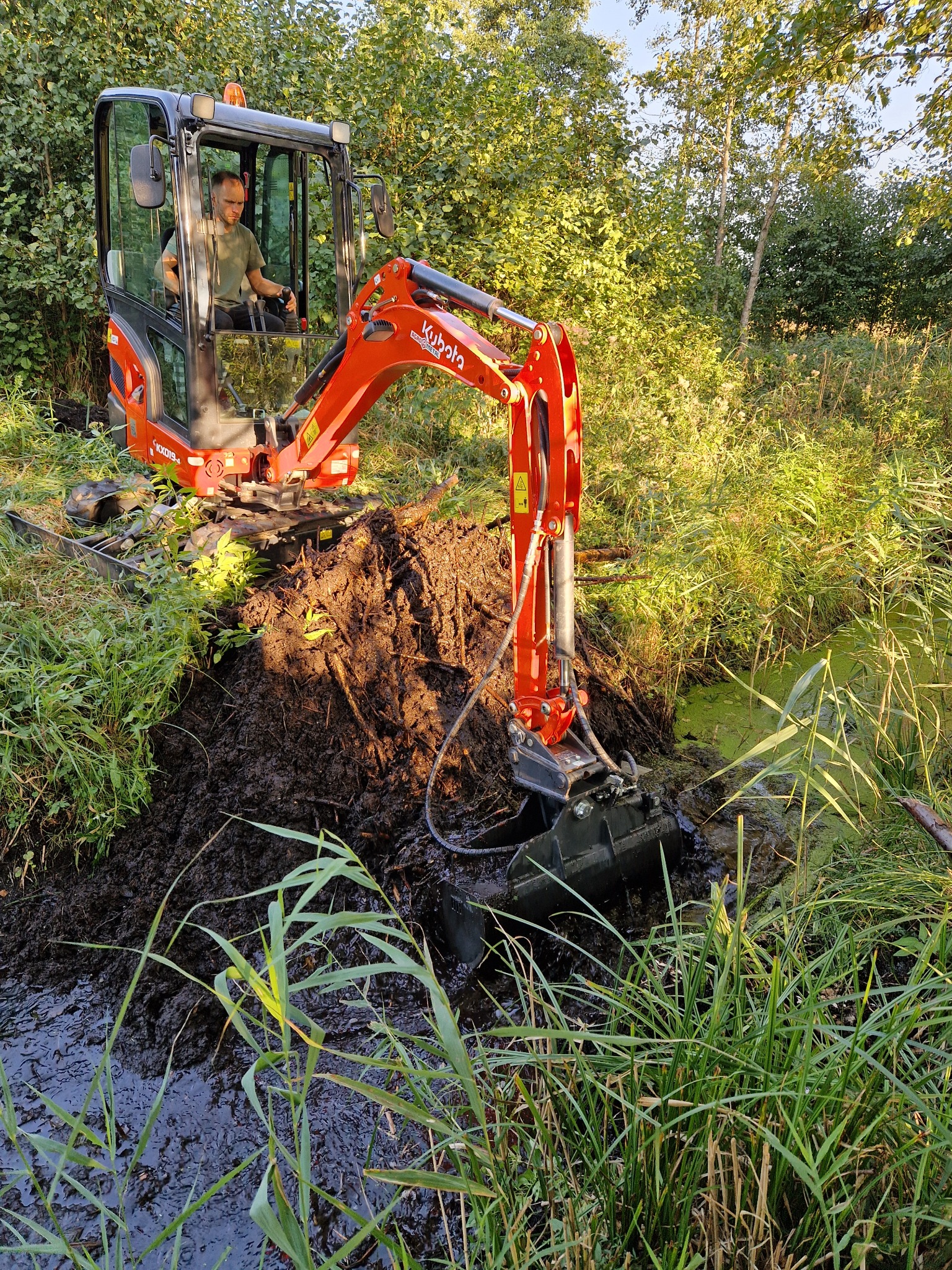 Czerwona mini koparka Kubota w trakcie prac ziemnych nad brzegiem zarośniętego rowu, operator w kabinie, drzewa w tle.