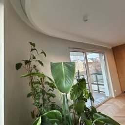 FIRMA OGÓLNOBUDOWLANA SZYMON HALMAN - Jasne wnętrze z roślinami doniczkowymi, widoczna listwa przysufitowa, parkiet i przesuwne drzwi balkonowe. Minimalistyczny design.