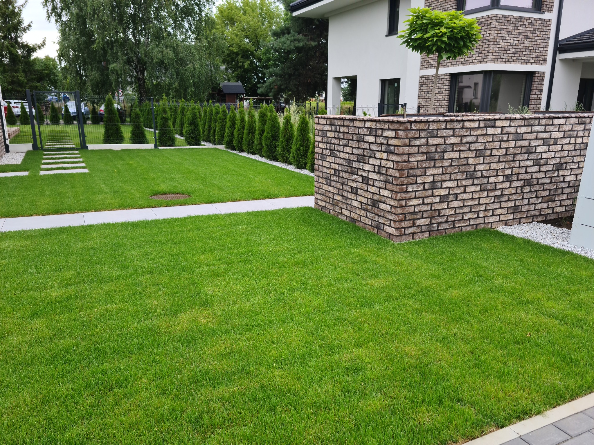 Nowoczesny dom z jasną elewacją, ceglanym murem i równo przystrzyżonym trawnikiem oraz ścieżką z płyt betonowych prowadzącą wzdłuż żywopłotu z tuj.