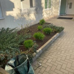 NOVA CLEAN VITALII TSYTSYLIN - Kwitnąca rabata kwiatowa przy budynku, z torbą ogrodniczą i sekatorem na kostce brukowej. Świeżo posadzone rośliny w wiosennym słońcu.