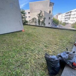 NOVA CLEAN VITALII TSYTSYLIN - Trawa po koszeniu na dachu budynku, obok czarne worki na śmieci i narzędzia ogrodnicze. W tle budynki mieszkalne i błękitne niebo.