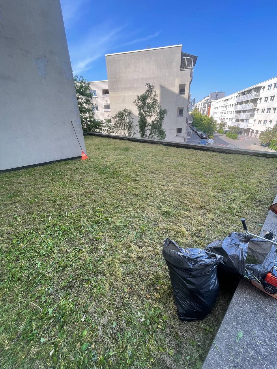 Trawa po koszeniu na dachu budynku, obok czarne worki na śmieci i narzędzia ogrodnicze. W tle budynki mieszkalne i błękitne niebo.