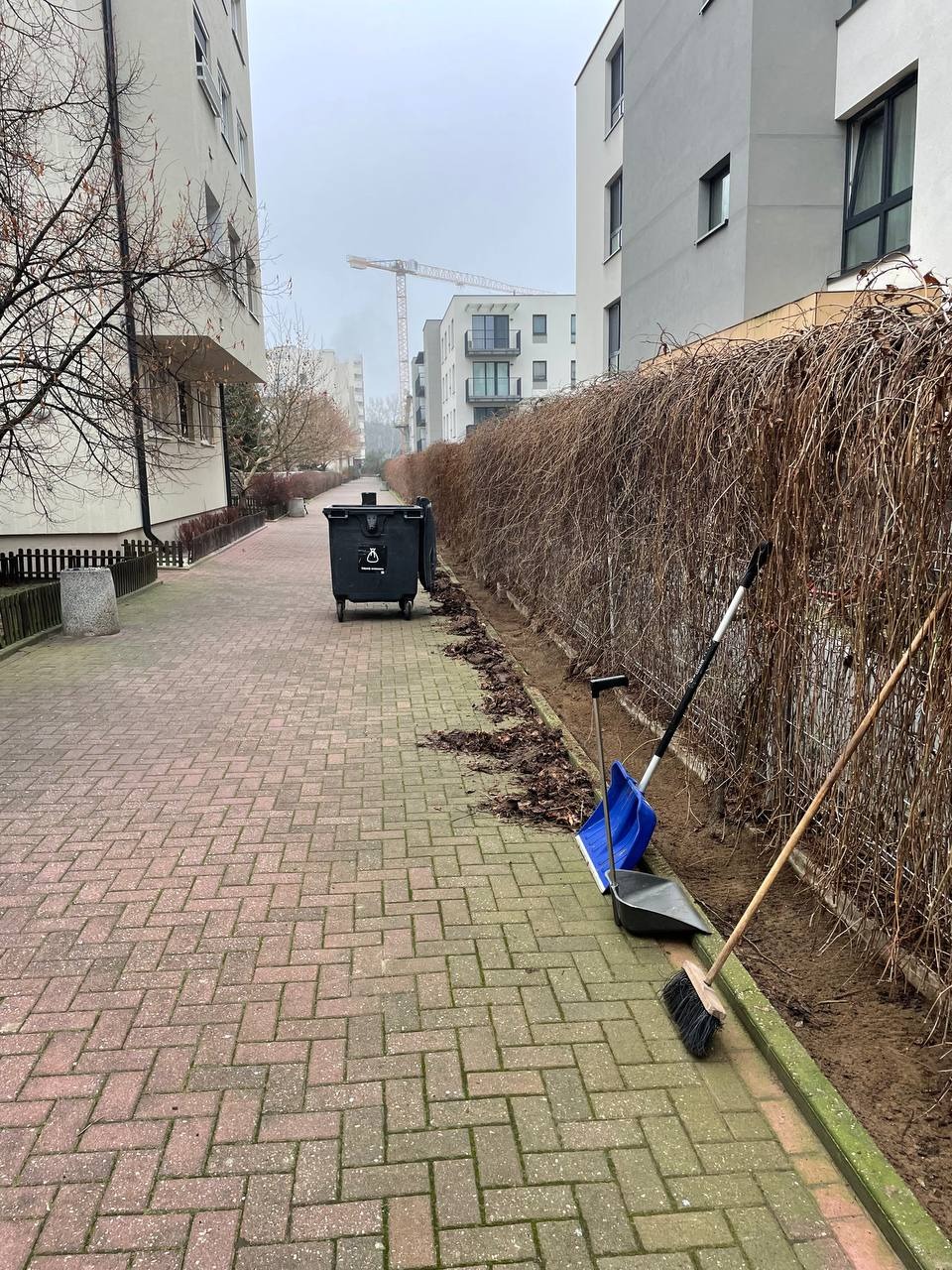 Alejka z kostki po grabieniu liści, widoczny kosz na śmieci, grabie, zmiotka i szufelka. W tle budynki mieszkalne i żuraw budowlany.