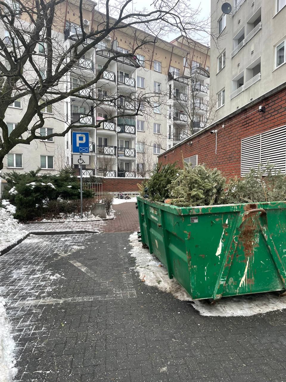 Zielony kontener wypełniony gałęziami drzew iglastych na tle bloku mieszkalnego i znaku parkingowego dla niepełnosprawnych. Zimowy krajobraz.