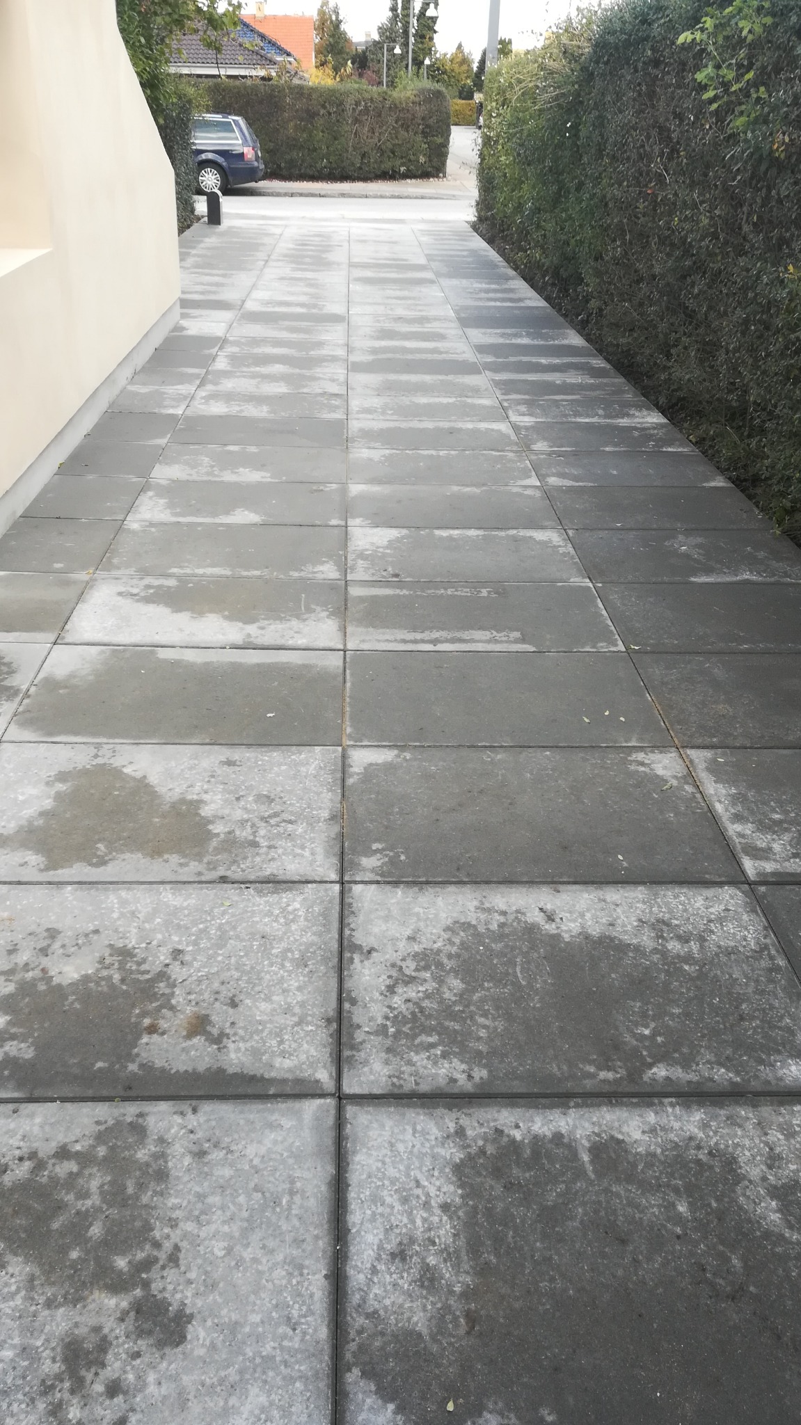 Świeżo ułożona, szara nawierzchnia z kostki brukowej prowadząca do domu, z widocznymi śladami wilgoci i otoczona żywopłotem.