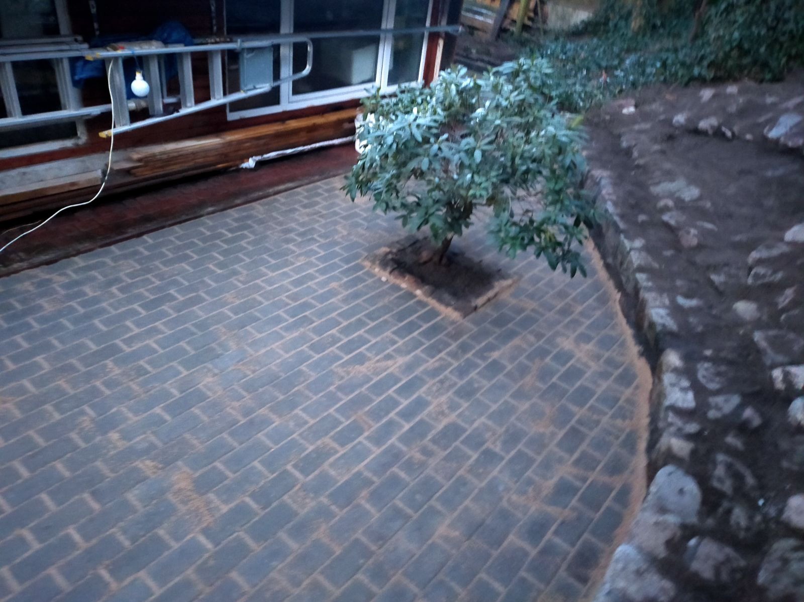 Ułożona, szara kostka brukowa na podwórku z małym drzewkiem w środku, obok widoczny kamienny murek i drabina oparta o budynek.