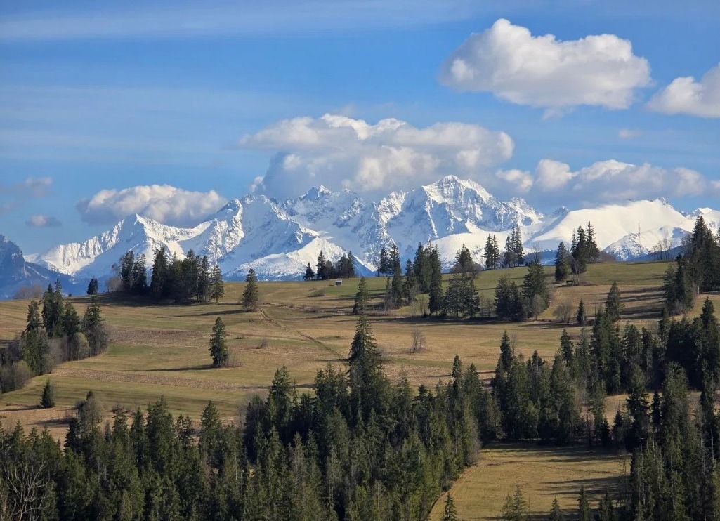 Panoramiczny widok na zaśnieżone szczyty górskie zalesionego wzgórza pod błękitnym niebem z białymi chmurami.