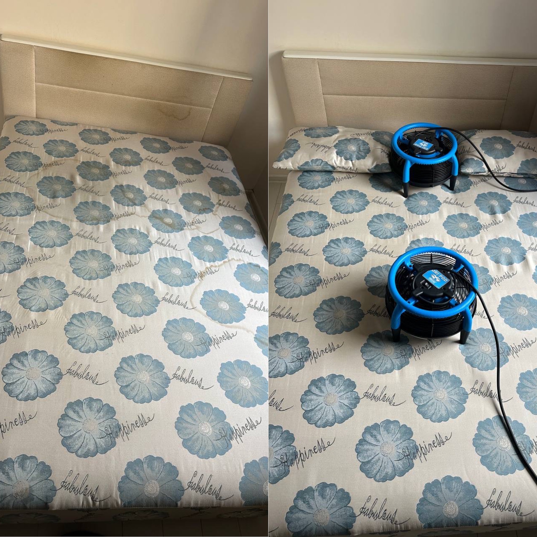 Materac z kwiatowym wzorem przed i po czyszczeniu. Po prawej stronie dwa wentylatory suszące. Widoczna różnica w czystości wzoru.