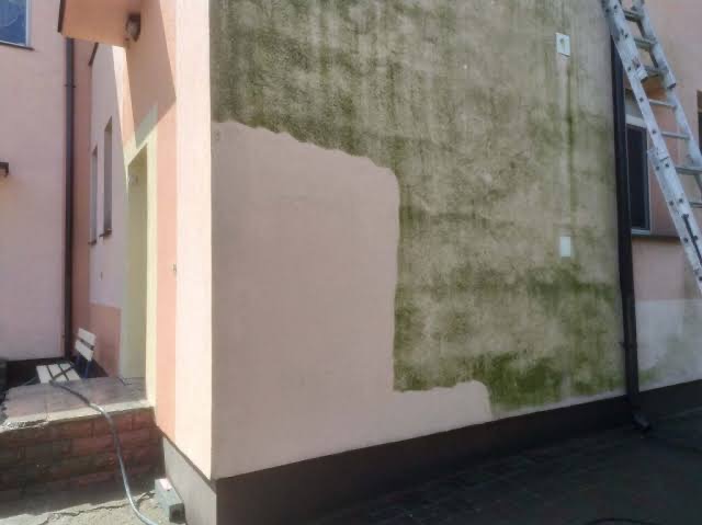 Fragment elewacji budynku z widocznym obszarem po czyszczeniu, kontrastującym z zabrudzoną, zieloną powierzchnią. Drabina oparta o ścianę. Widoczny efekt mycia.