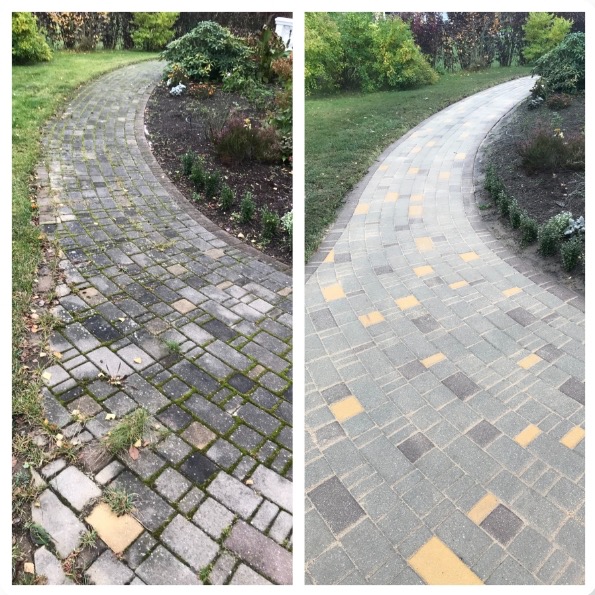 Kostka brukowa przed i po czyszczeniu: po lewej stronie brudna, porośnięta mchem, po prawej czysta, z widocznymi żółtymi elementami. Ścieżka w ogrodzie.