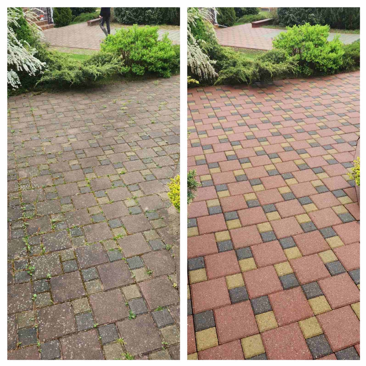 Efekt mycia kostki brukowej: po lewej stronie kostka zabrudzona, porośnięta mchem, po prawej czysta, z odzyskanym kolorem. Widok z góry, otoczenie zieleni.