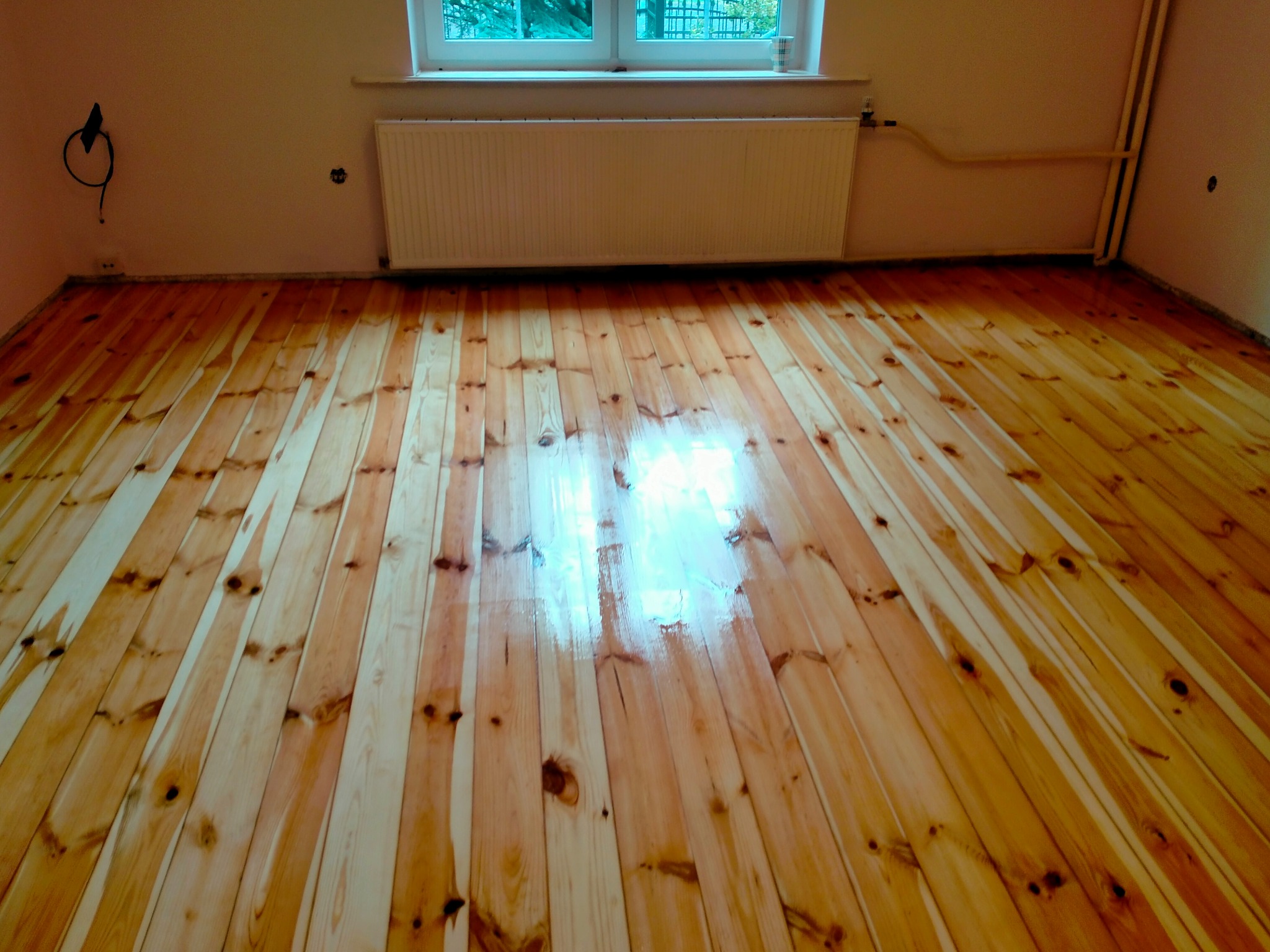 Świeżo polakierowana podłoga z desek, widoczne odbicie światła od okna, jasne drewno z ciemnymi sękami, biały grzejnik pod oknem.