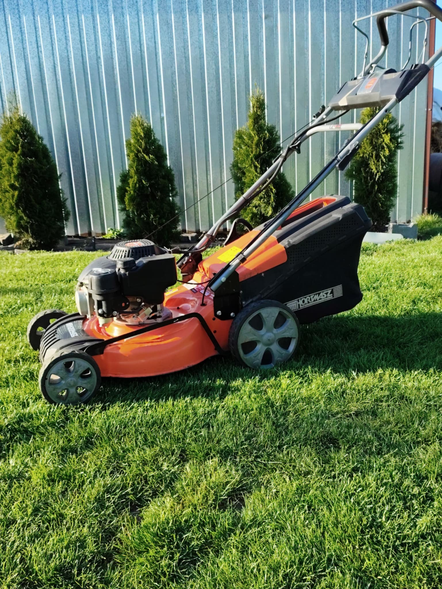 Pomarańczowa kosiarka spalinowa HORTMASZ na trawniku, na tle srebrnego ogrodzenia z blachy trapezowej i trzech małych tuj. Słoneczny dzień.
