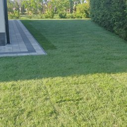 Zakładanie ogrodów Różan 2