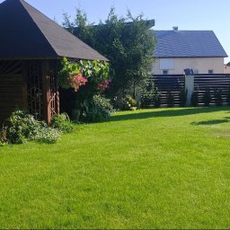 Zakładanie ogrodów Różan 4