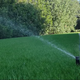 Automatyczny zraszacz nawadnia świeżo założony trawnik z rolki, widoczny fragment domu i chodnik z kostki.