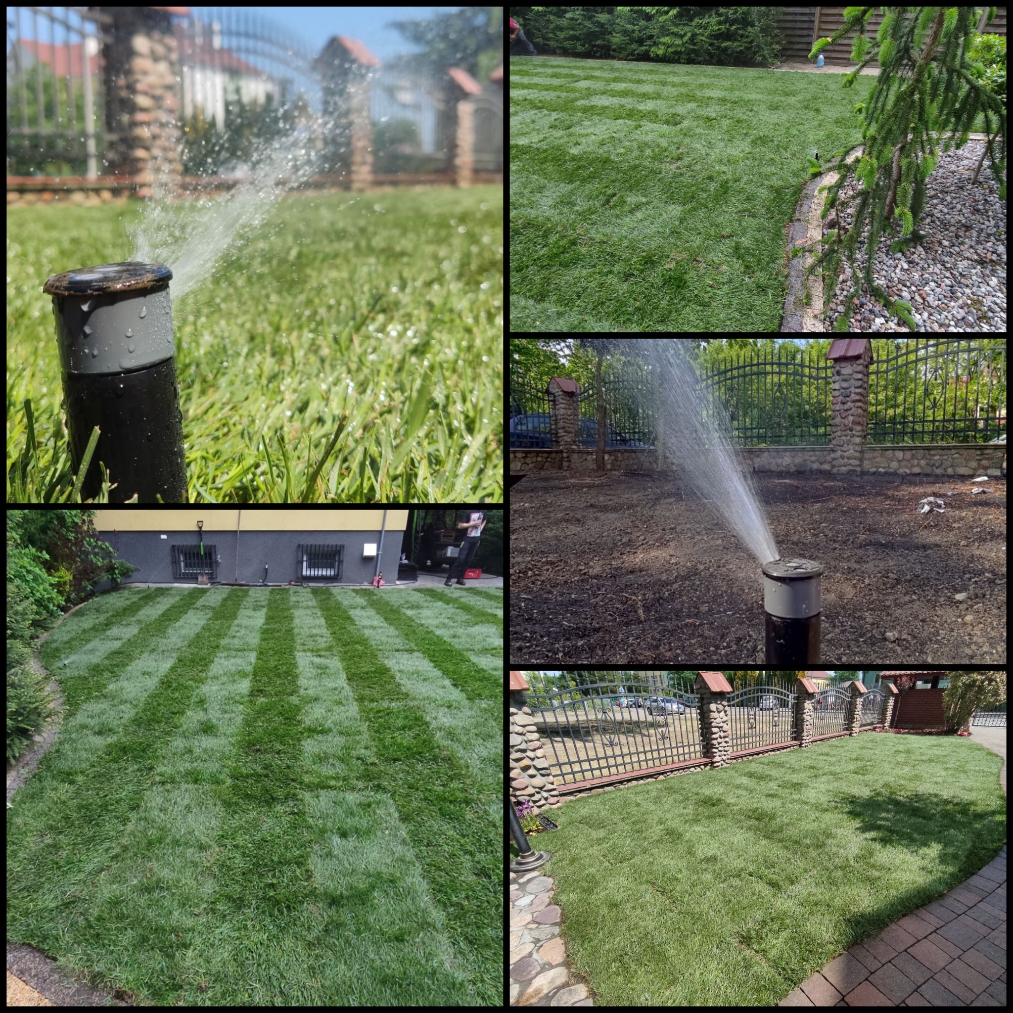 Montaż zraszaczy w ogrodzie z nowo założonym trawnikiem, widok na system nawadniania w akcji i świeżo ułożoną darń w różnych ujęciach.