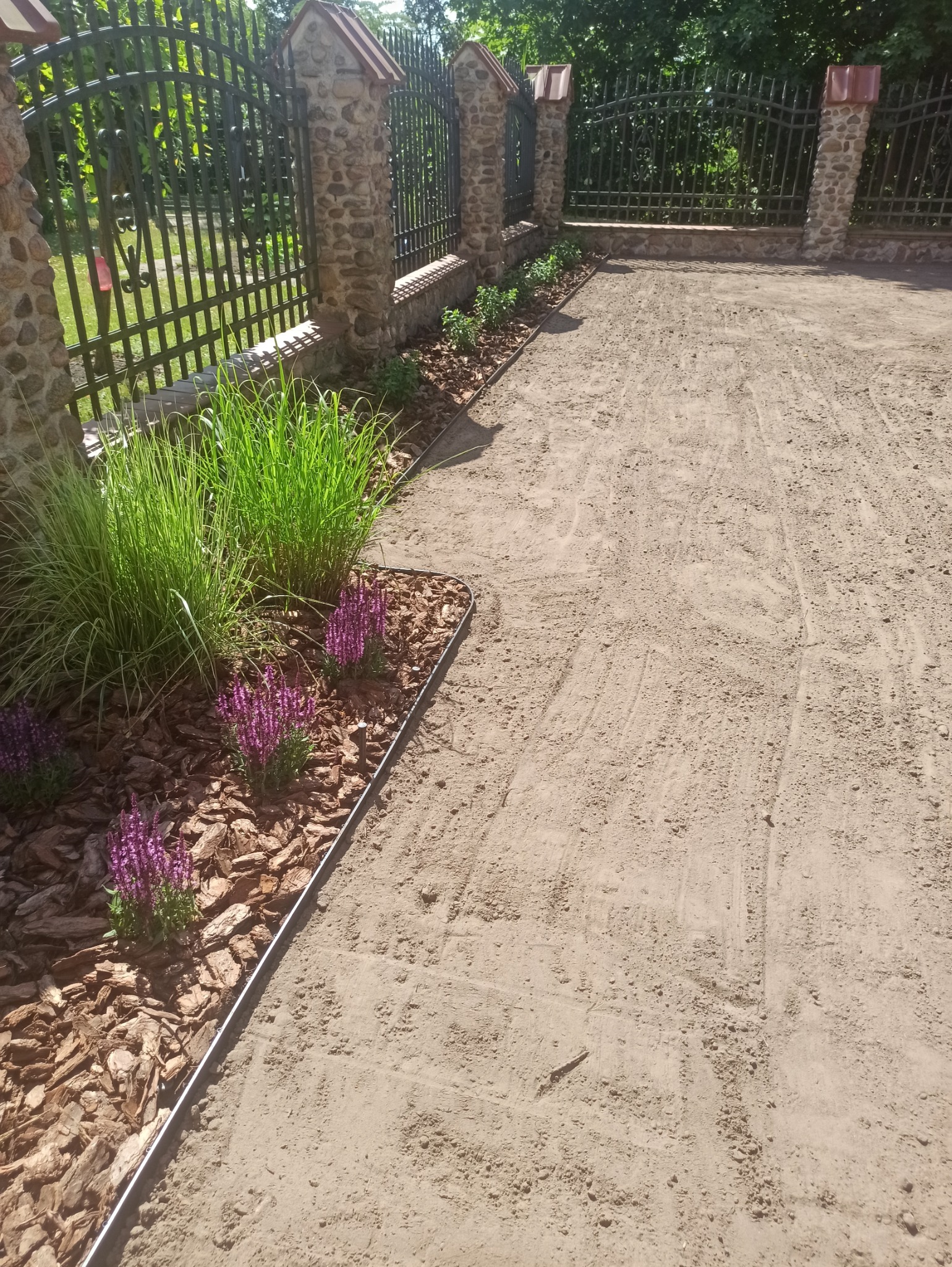 Przygotowany teren pod trawnik, widoczne kępy ozdobnych traw i fioletowych kwiatów na korze, obrzeża rabat oddzielone metalową listwą, w tle metalowe ogrodzenie z kamiennymi słupkami.