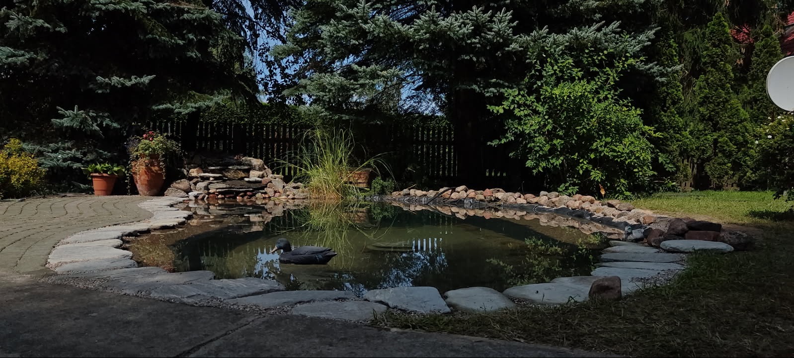 Oczko wodne z kamiennym brzegiem i kaskadą w ogrodzie, dekoracyjne rośliny w donicach i pływająca figurka kaczki.