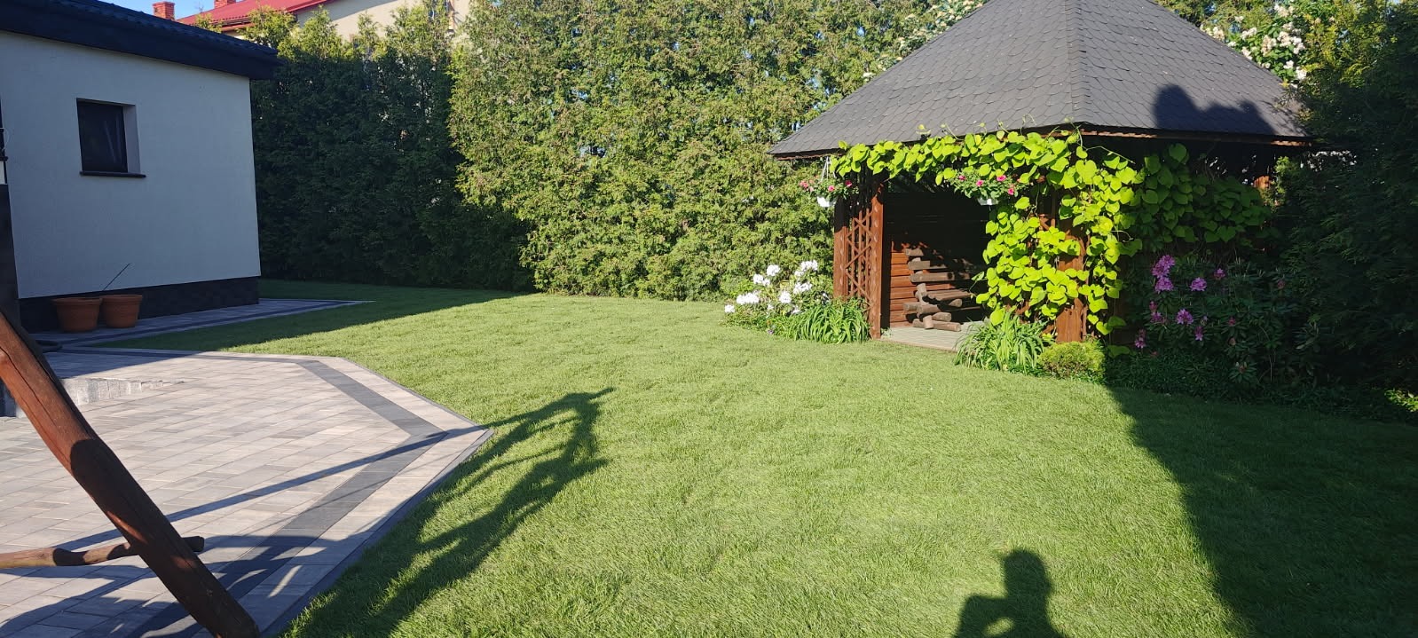Starannie utrzymany trawnik z rolki przed drewnianą altaną porośniętą pnączami, z widocznym cieniem osoby fotografującej w słoneczny dzień.