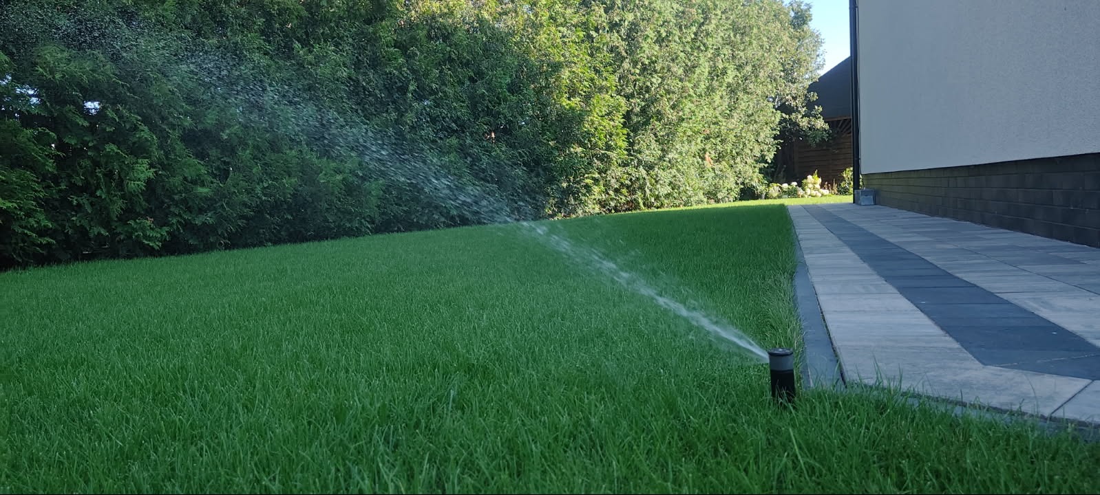 Automatyczny zraszacz nawadnia świeżo założony trawnik z rolki, widoczny fragment domu i chodnik z kostki.