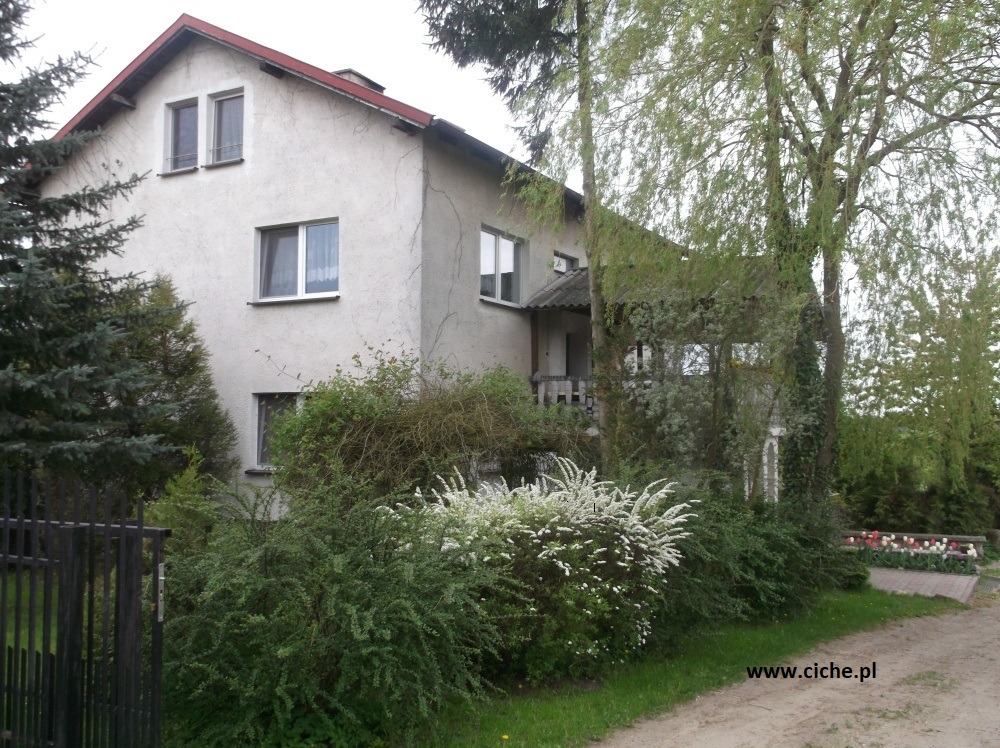 Dwupiętrowy dom z szarą elewacją otoczony zielenią, w tle widoczny fragment ścieżki z tulipanami, adres strony internetowej w prawym dolnym rogu.