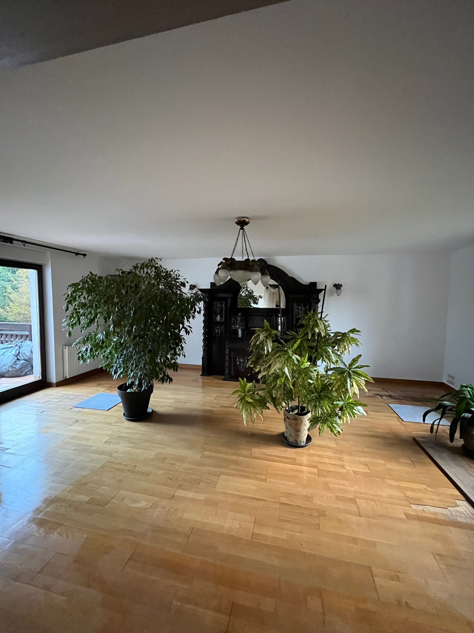 Przestronne wnętrze z parkietem, wysokimi roślinami doniczkowymi i antycznym kredensem z lustrem, po remoncie.