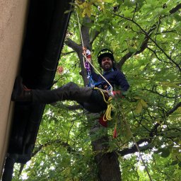 Redukcja korony nad dachem budynku